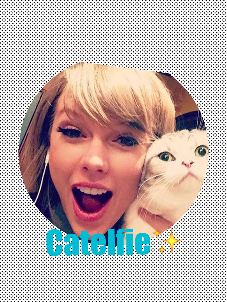 When Taylor Swift does a selfie with a cat