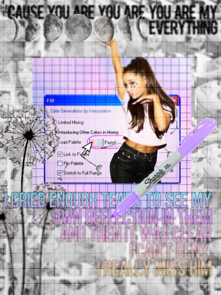 Arianators!🌙Should I do more things like this?Tell me Plz💎