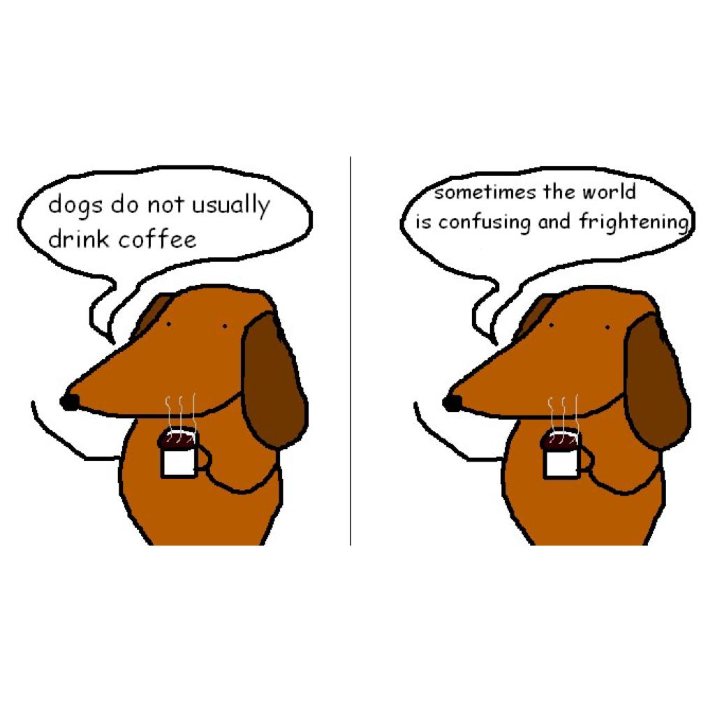 Dogs do not usually drink coffee...