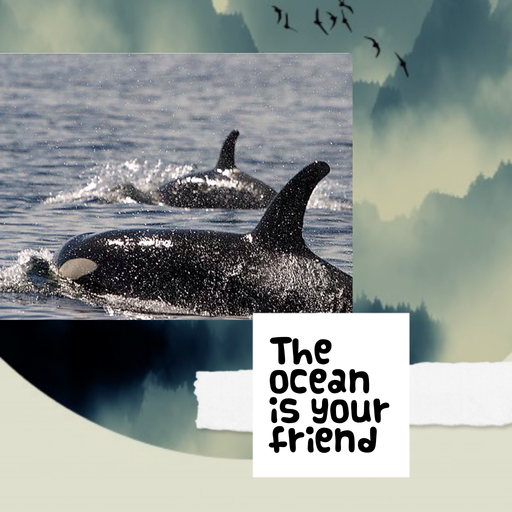 The ocean is your friend