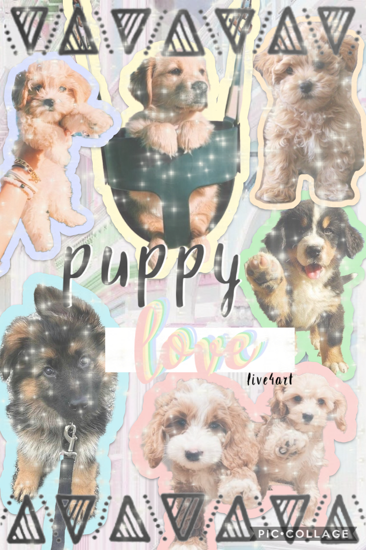 💖OH MY FREAKING GOSH!!! PUPPIES!!!!  are you a cat or dog person?💖