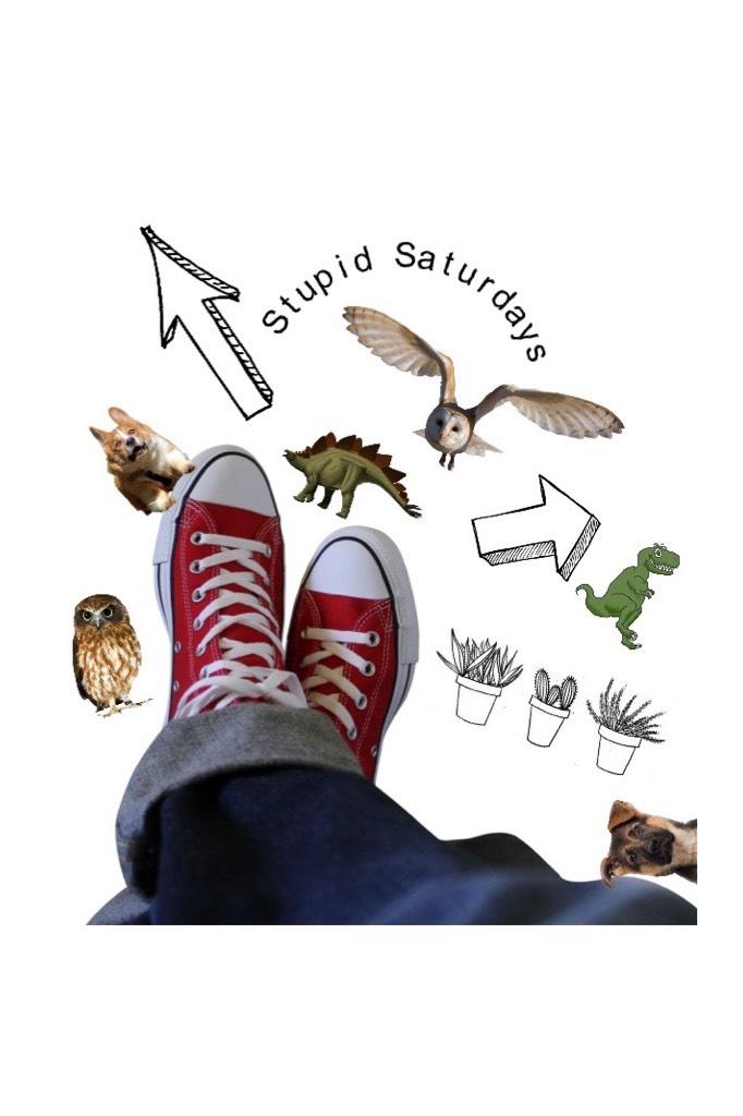 Hey y'all it's Rosie and if anyone is wondering this is my profile picture it has all the things I love, dinosaurs, dogs, owls, arrows, pot plants and my favourite shoes!! <3 - stupidSaturdays