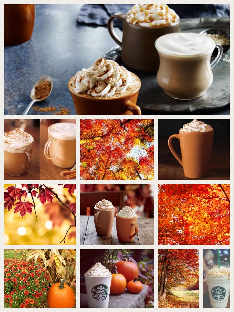 Starbucks+fall=greatness