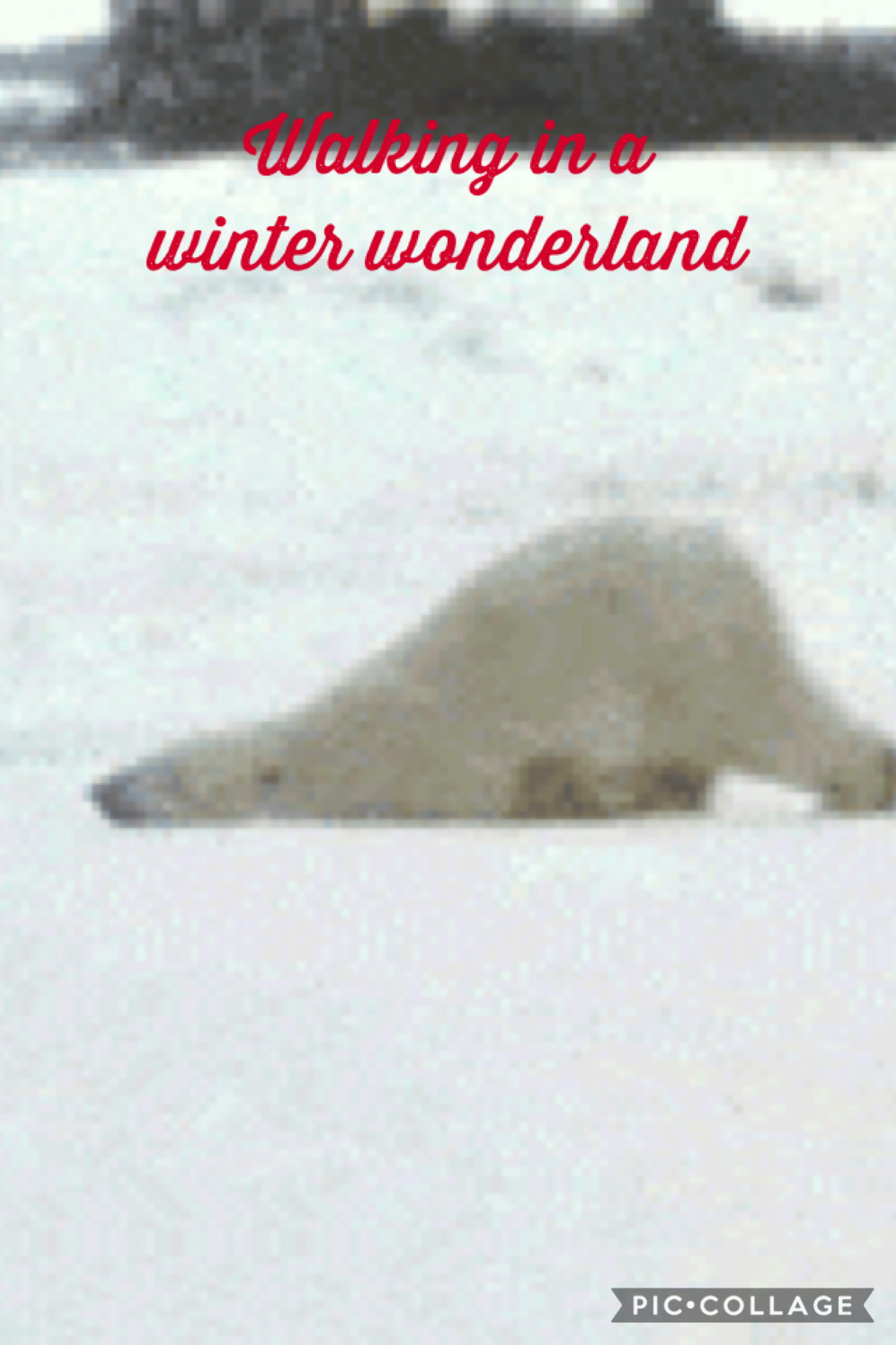 Fr walking in a winter wonderland of corona