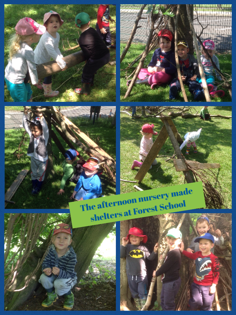 The afternoon nursery made shelters at Forest School