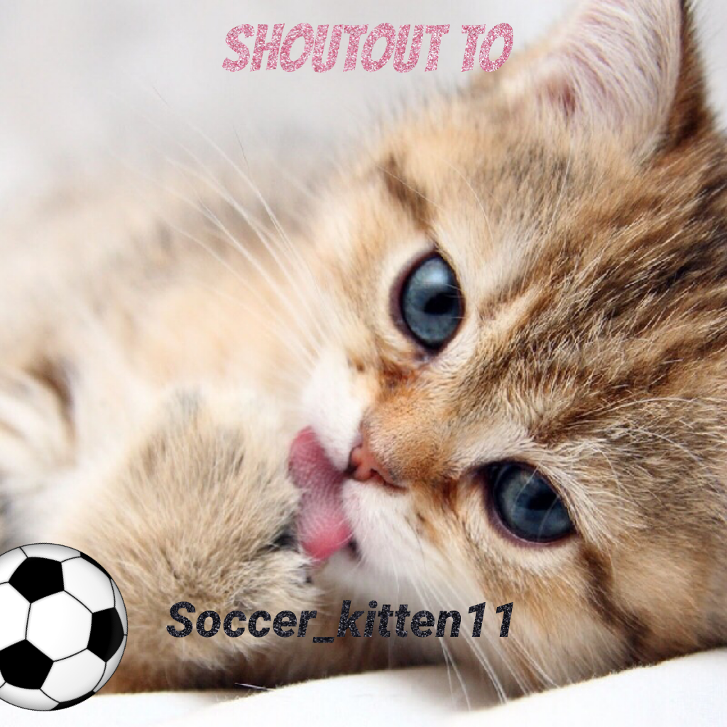 Go  and follow @soccer_kitten11