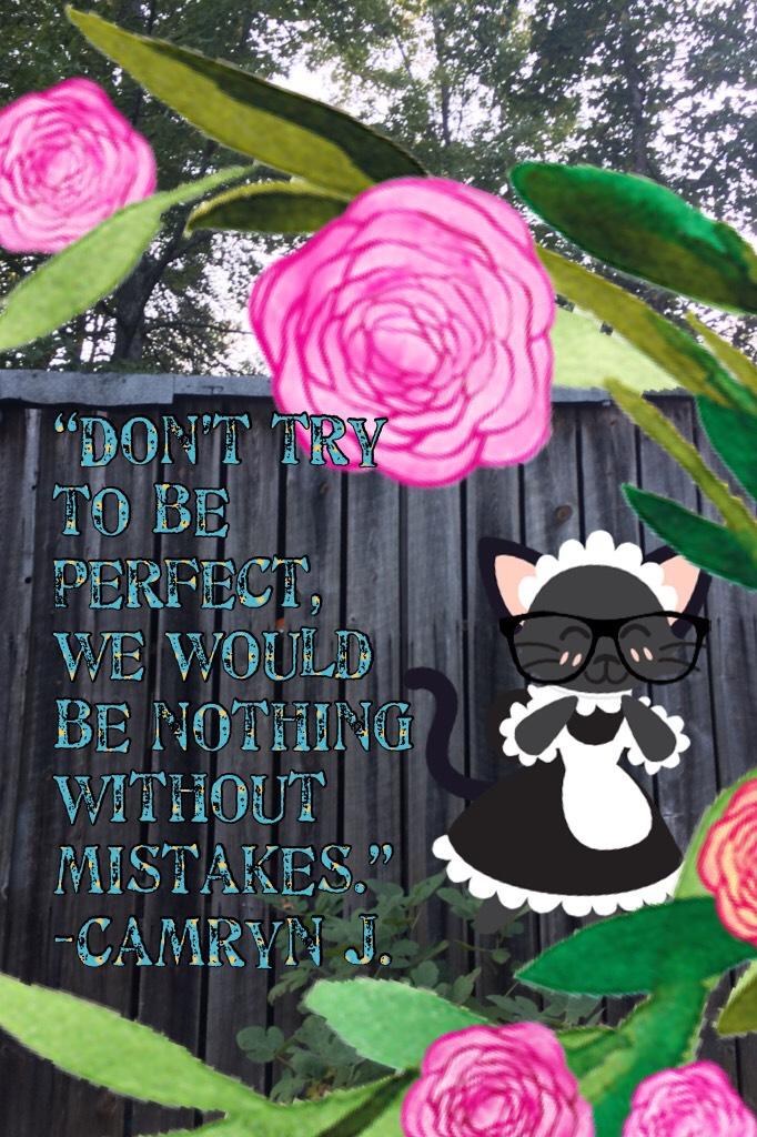 “Don’t try to be perfect, we would be nothing without mistakes.”
-Camryn J.