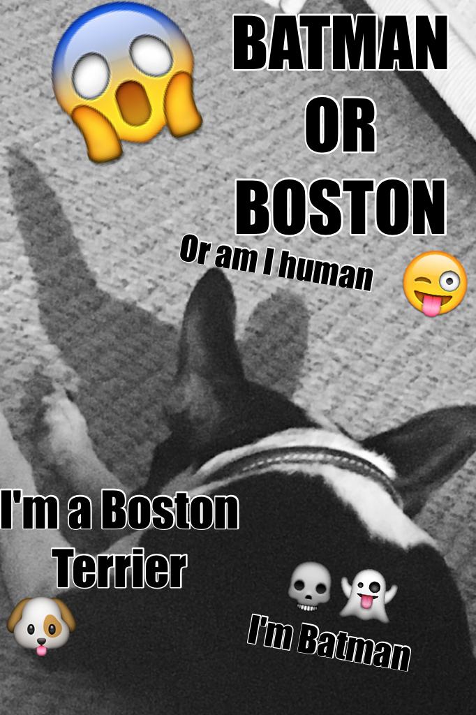 BATMAN OR BOSTON