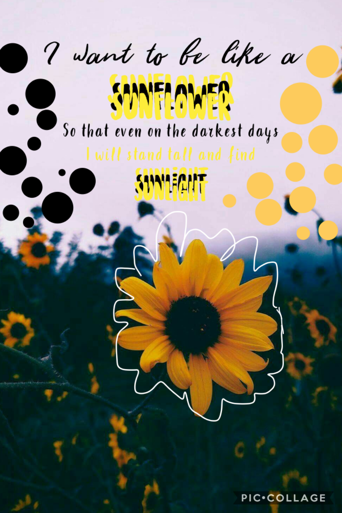 Tap the sunflower        🌻 
I love this colageee! What do you think? It’s my first collage since the beach theme🥳
28-06-2020
