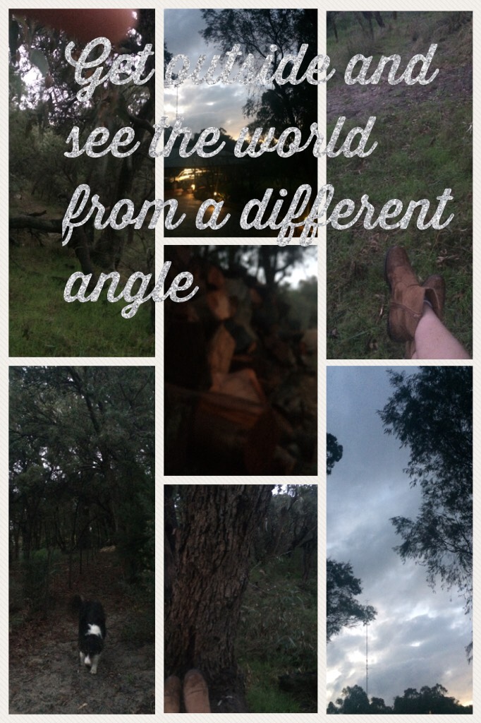 Climbing trees is fun guys😂🌲🌳 Ps. Sorry about the finger in the top left photo☝️