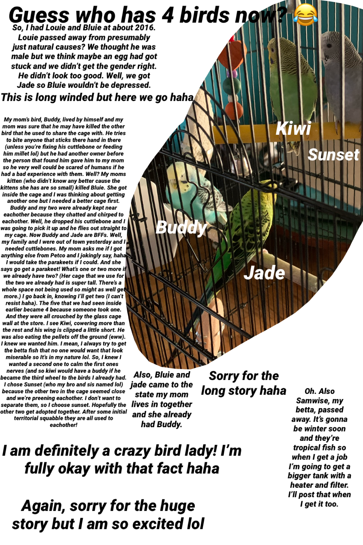 A bird story! Lol