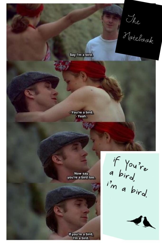 The
Notebook