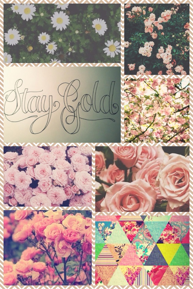 Flower! Stay gold 💎