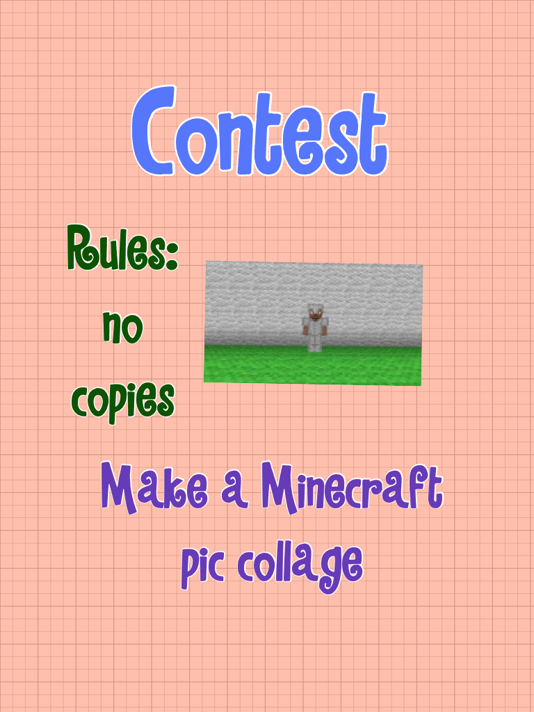 Minecraft Contest!!!