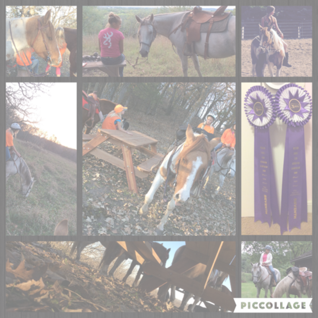 I haven't posted in a while and I'm sooooo sorry about that but I promise I'll post more. here's a college with some of my favorite horse pics. not my best but hope you like!!