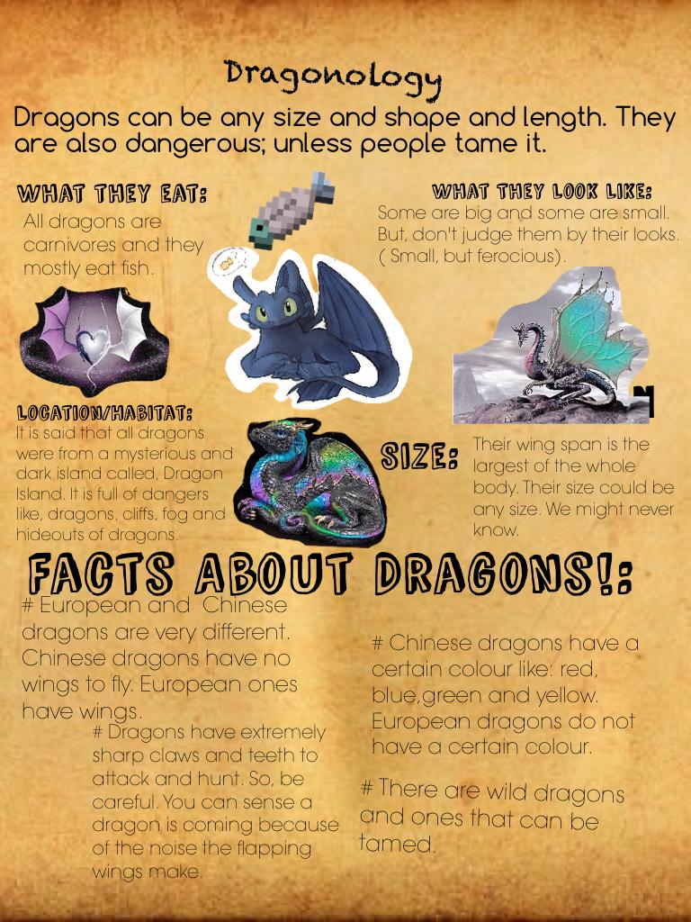 Facts About Dragons!:
