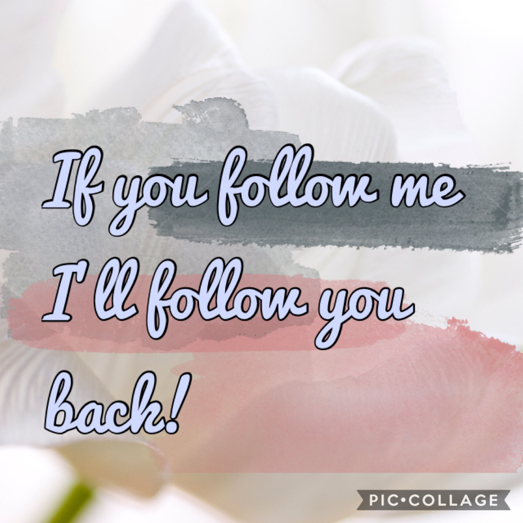 Follow for a follow! 😂❤️ 