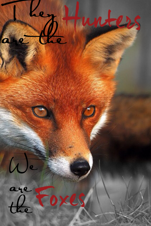 They are the hunters we are the foxes #pconly