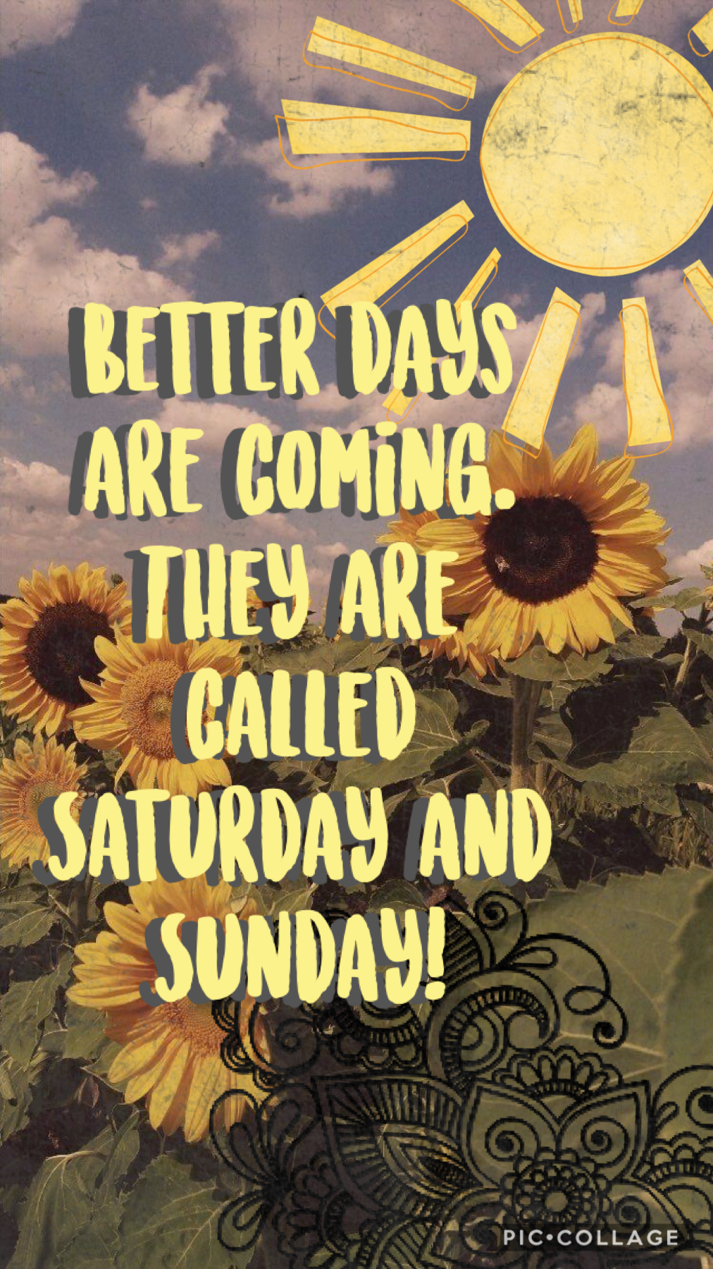 🌻Tap🌻
Happy weekend everyone!
Sorry I haven’t been posting for a while! I’ve been keeping busy going on bike rides with my friends! 
Hope your all well and

Happy day/night! ☀️🌙