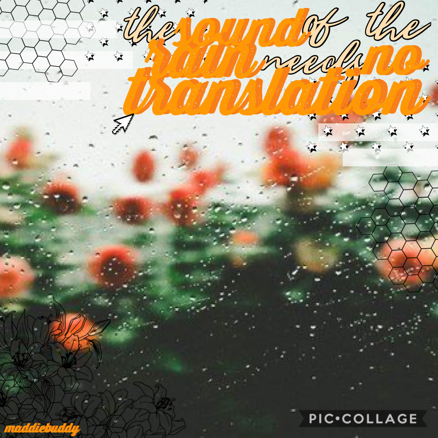 🧡tappity tap tap🧡
4.9.20
Hey guys! It’s been raining a lot where I live, so I thought I’d make a rain themed collage.  It my favorite, but it was good enough to post, sooo