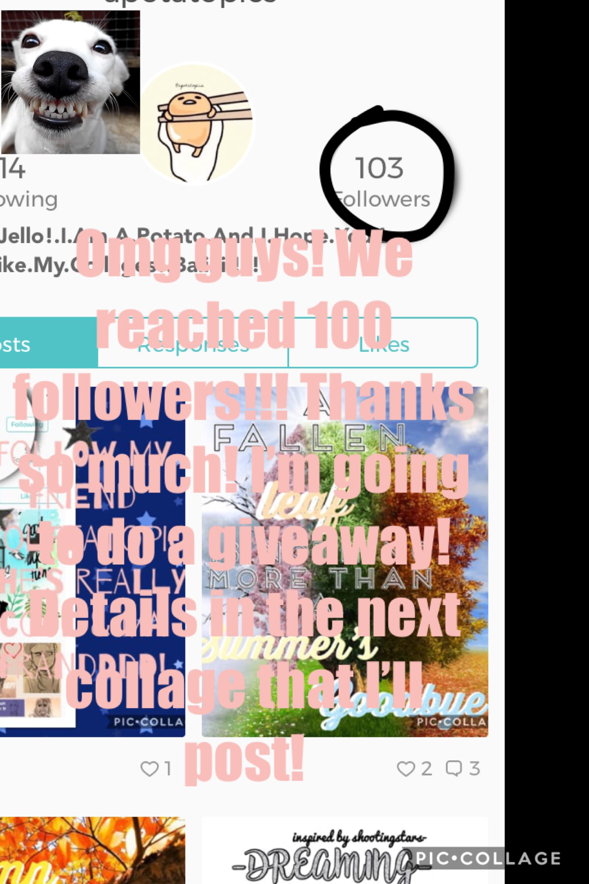 TAP
THANK YOU GUYS!! Ik 100 May not be a lot to you but it’s a milestone!! Anyway, I’ll be doing a giveaway and I’ll need at least 10 entries! More details in the next collage! Baii