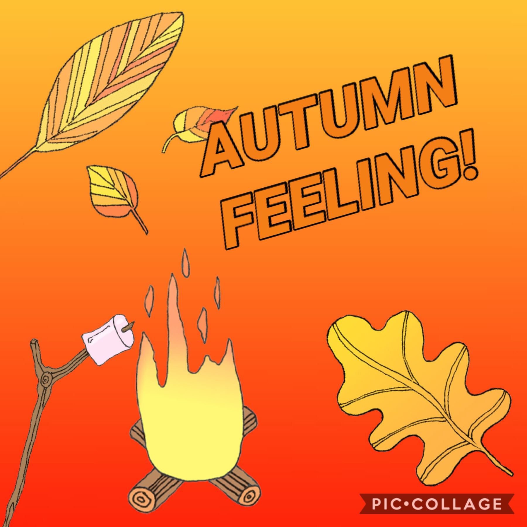 Getting that Autumn feeling! 🍂 