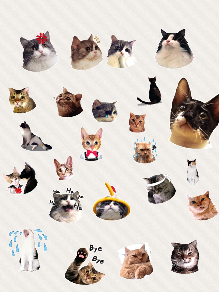 Check Out This Cute Cat Collage! Download the sticker pack for free! Thanks for sponsoring this collage pal plus! Visit the pal plus website at palplus.me