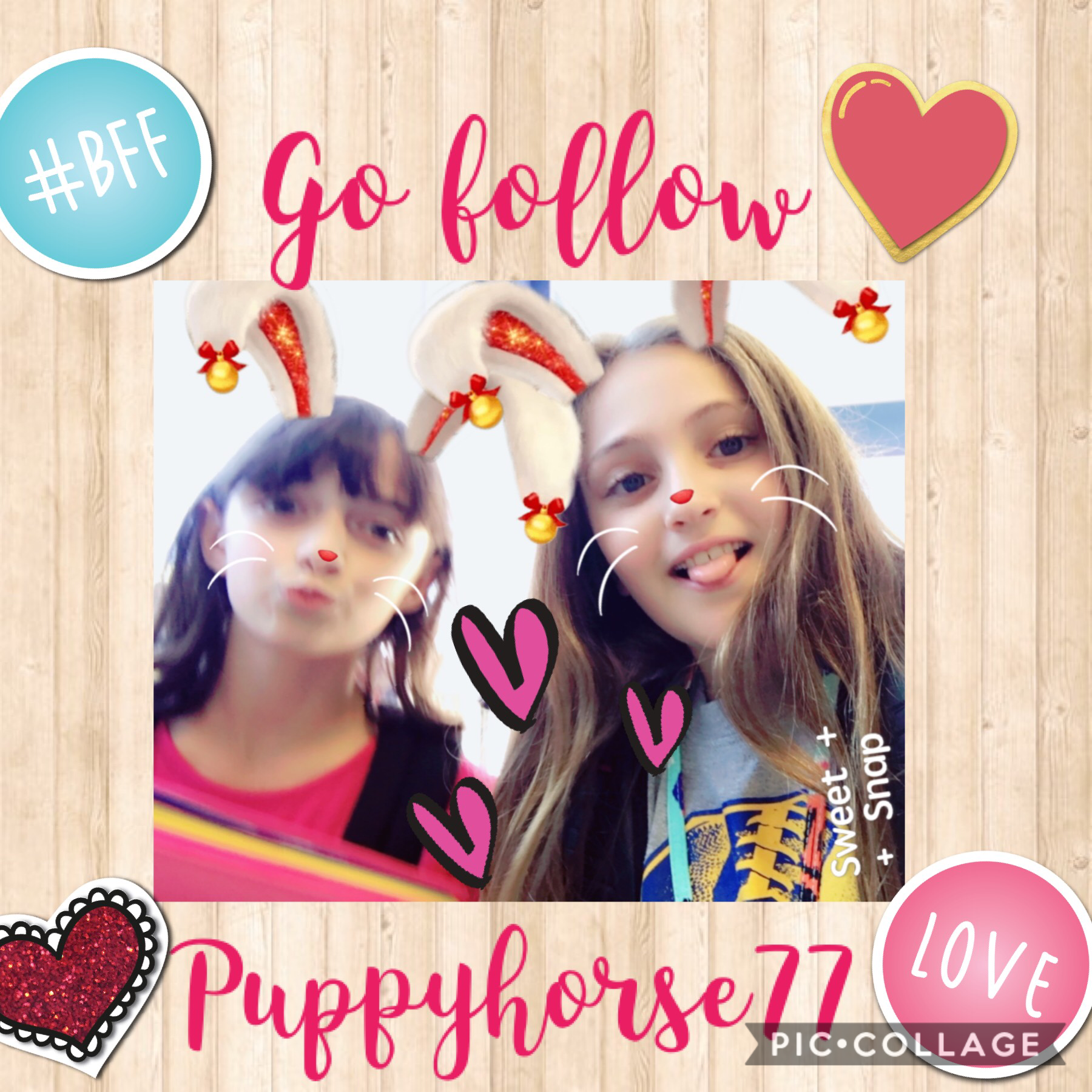 PLEASE go follow puppyhorse77