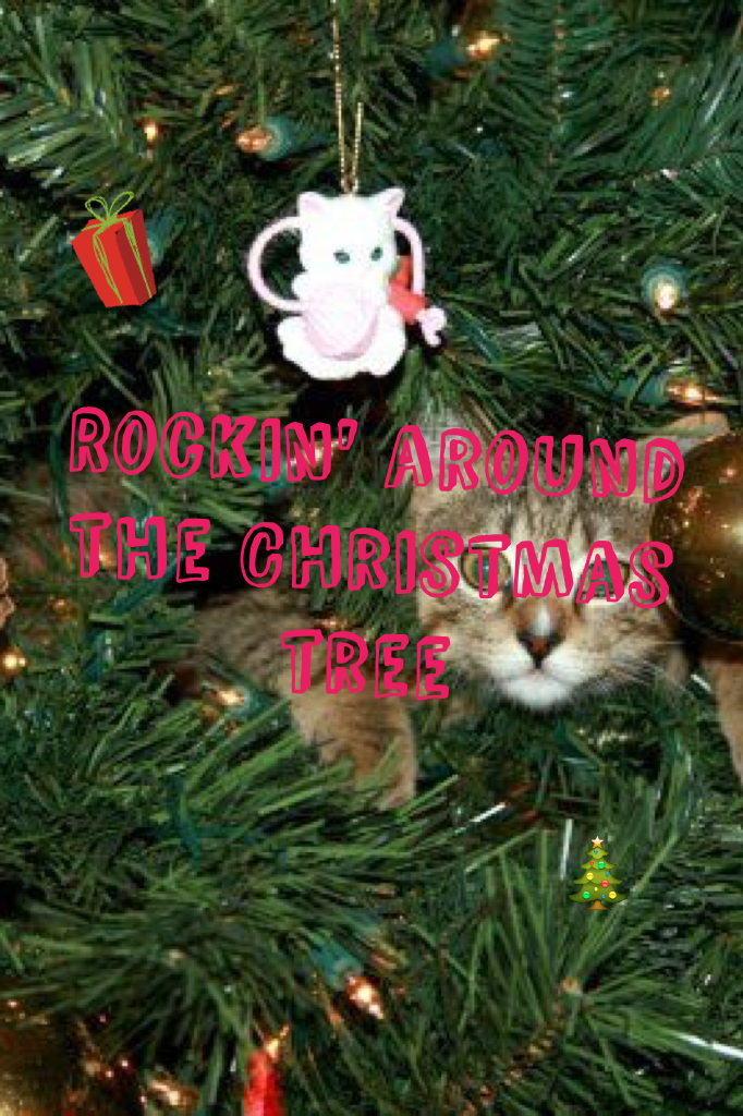 Rockin' around the Christmas tree
