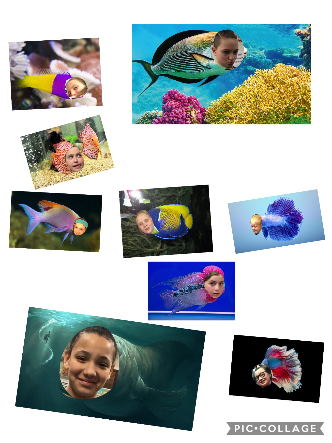 Some of my friends as fish :)