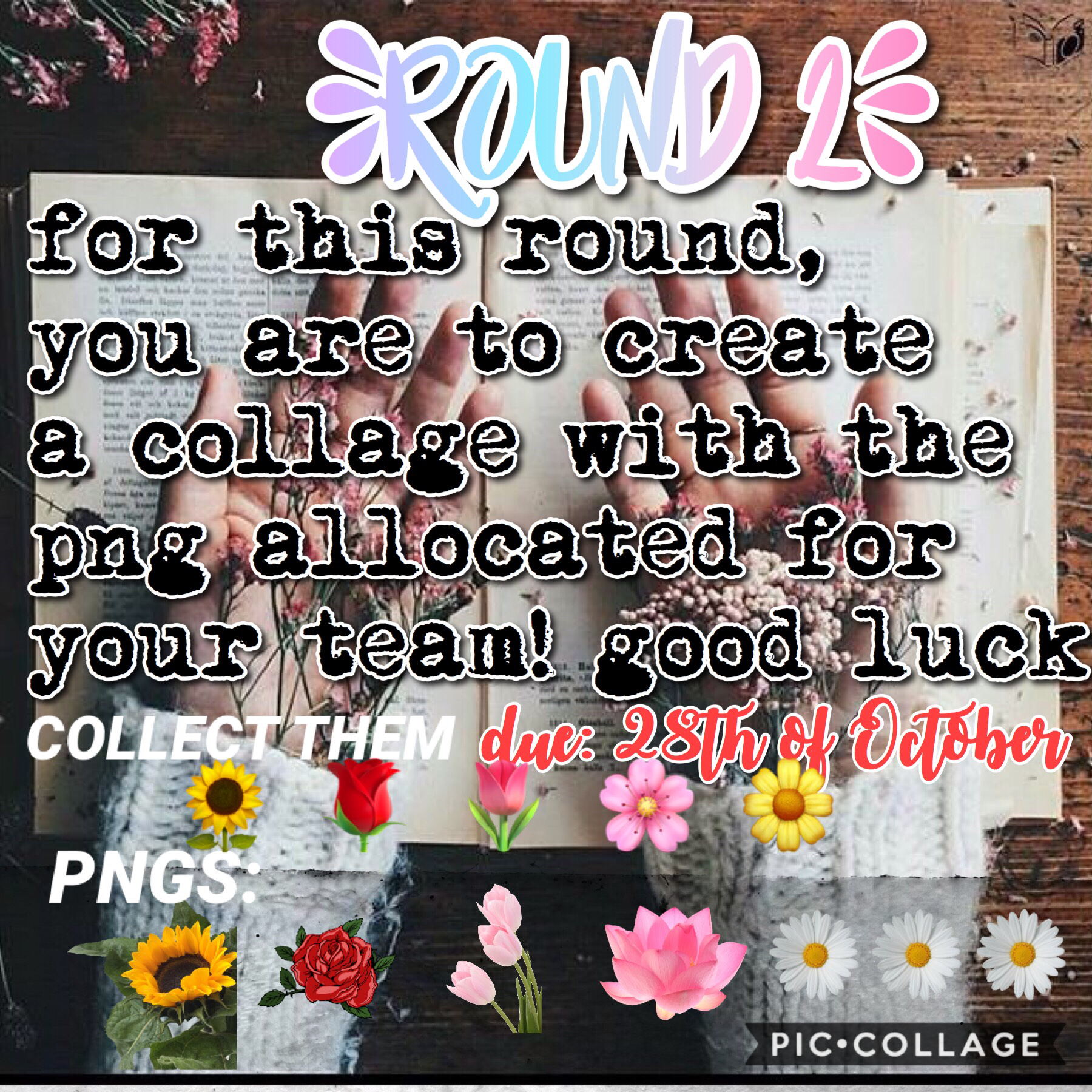 round 2 out now!! pngs are collectable!💘