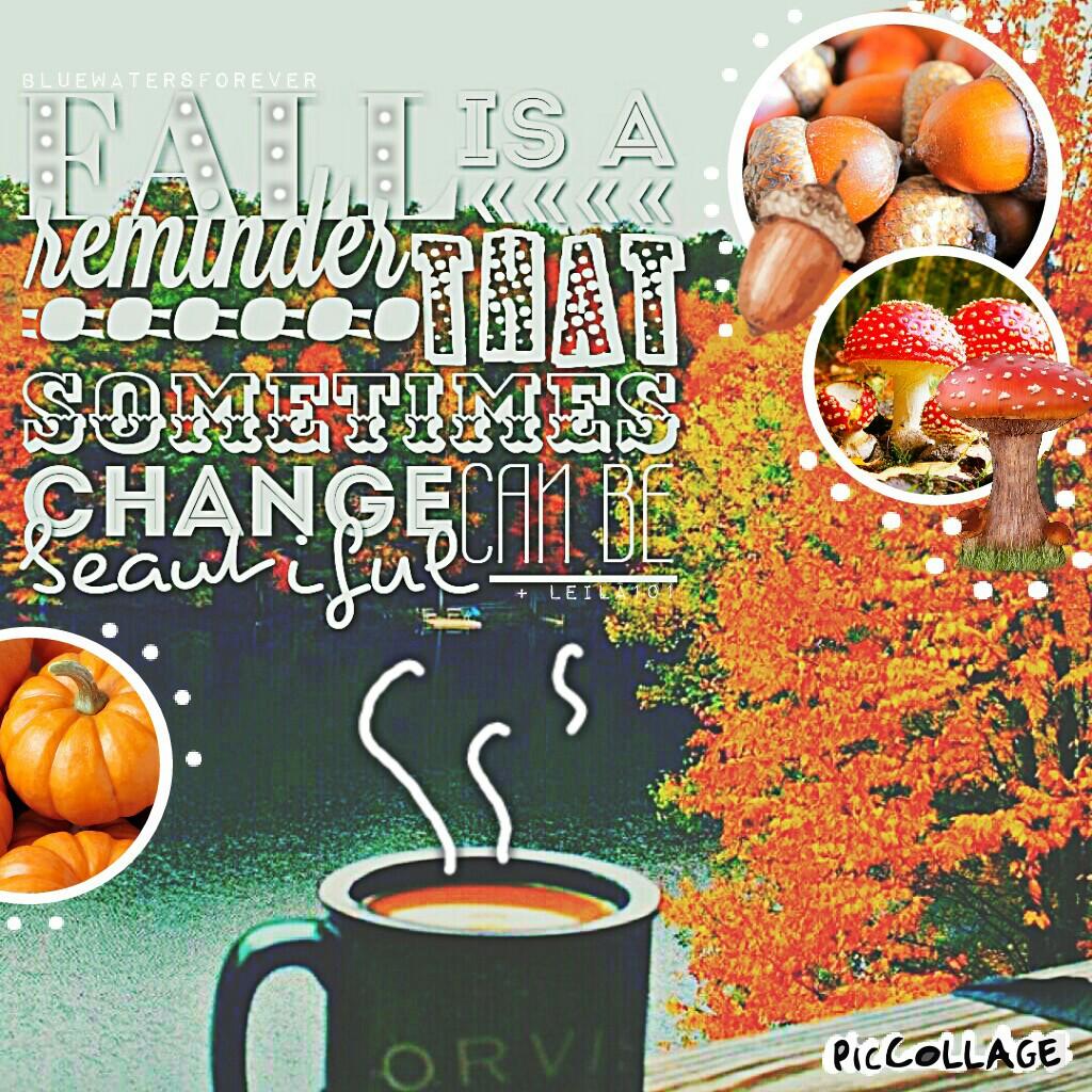 LOVE this! My Quote! Rate 1-10? Collab With: Bluewatersforever!!

Shout Out To: NightProwess, Skinkz, reputaytion, and TEAMW0RK! 

Tags: PicCollage typography love stickers autumn fall leaves acorns pumpkins collage BFF coffee mushrooms 