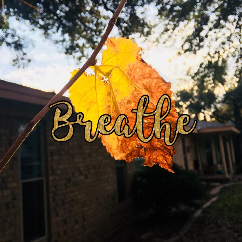 Breathe... 🍁