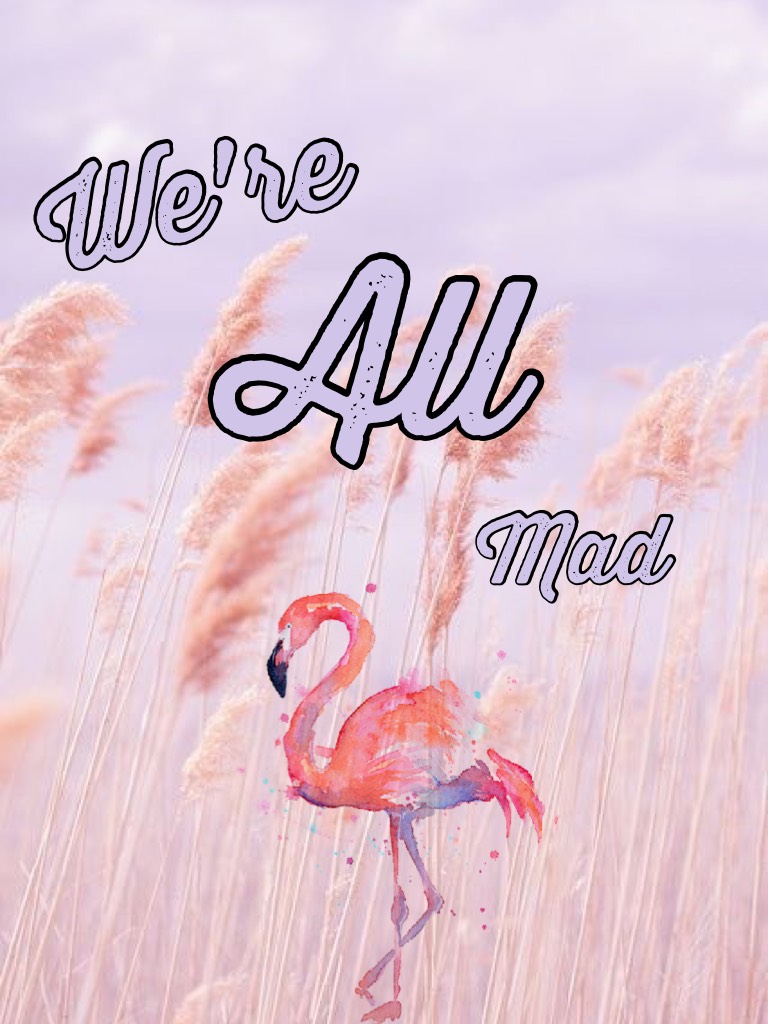We're all mad 🦄