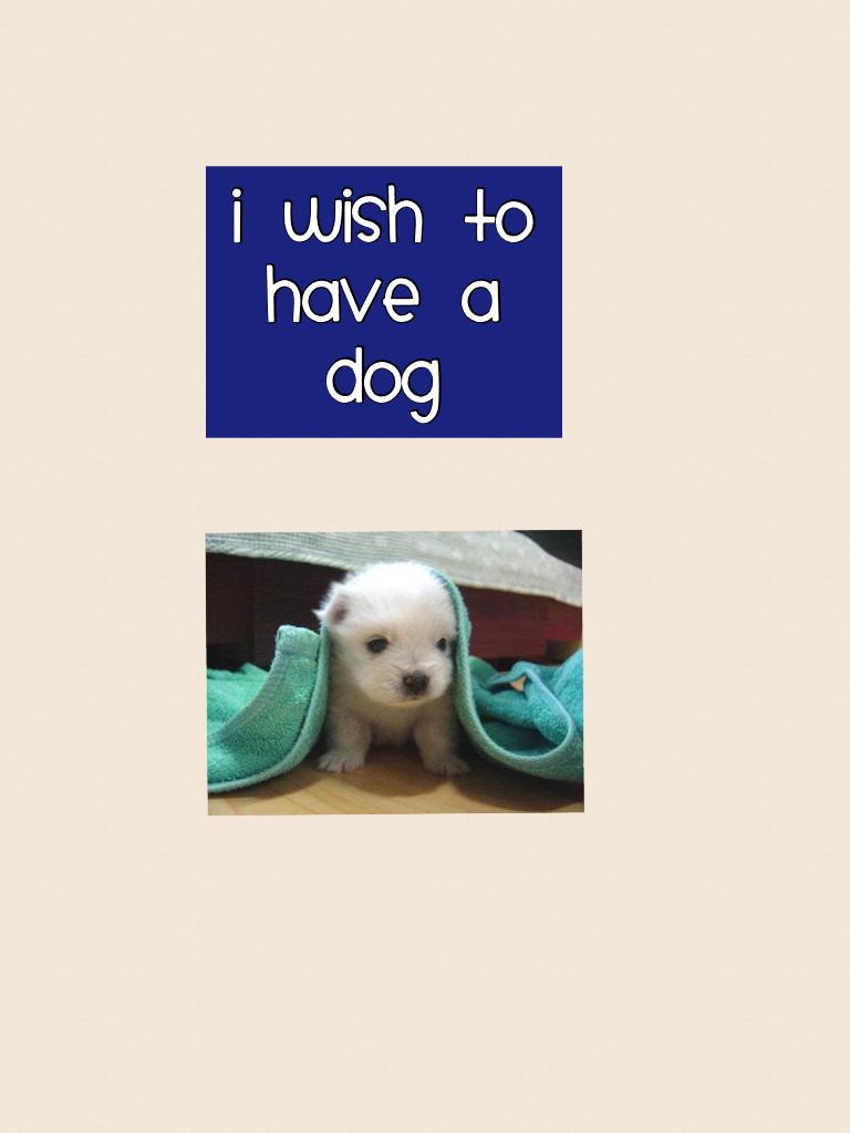 I wish to have a dog!