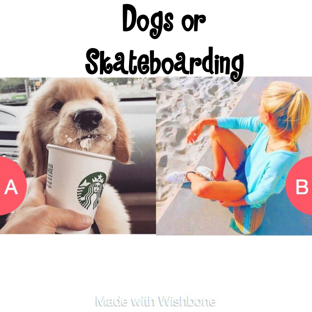 Dogs or Skateboarding 
