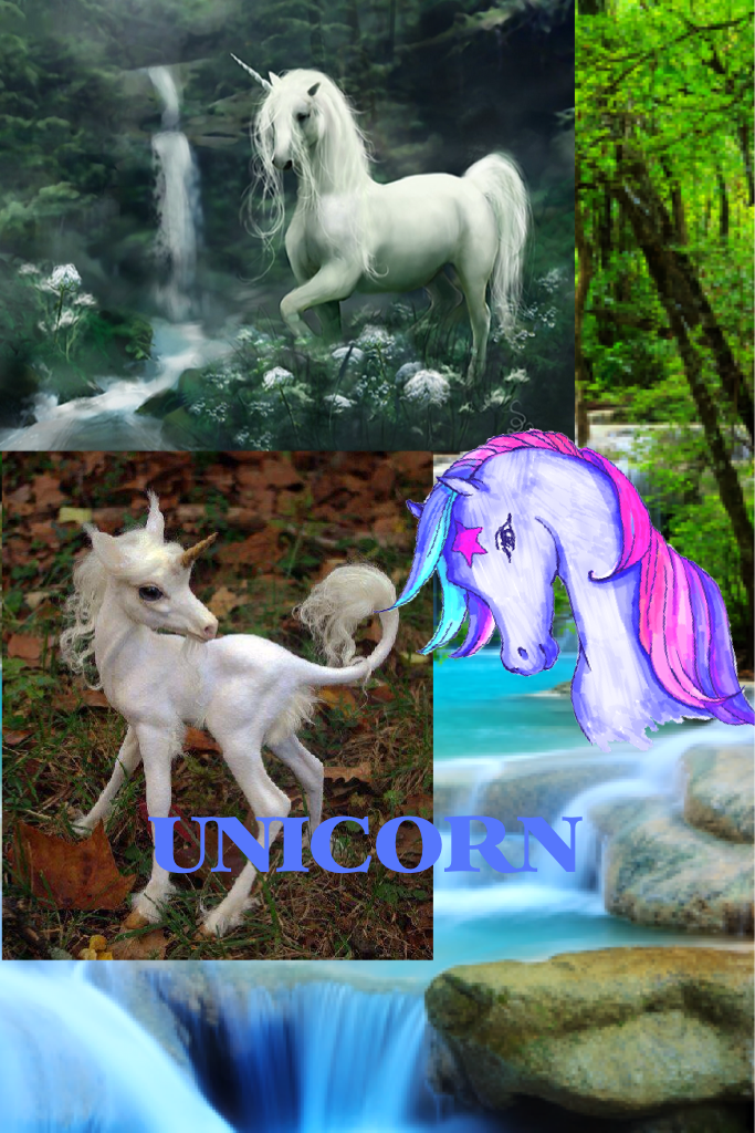 UNICORN 
To let you know i LOVE LOVE LOVE Unicorns 