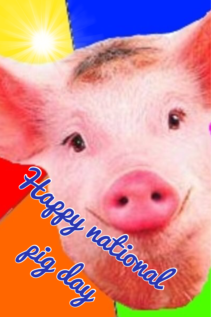 Happy national pig day