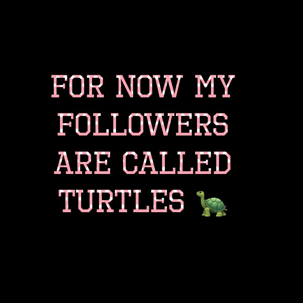 For now my followers are called turtles 🐢 