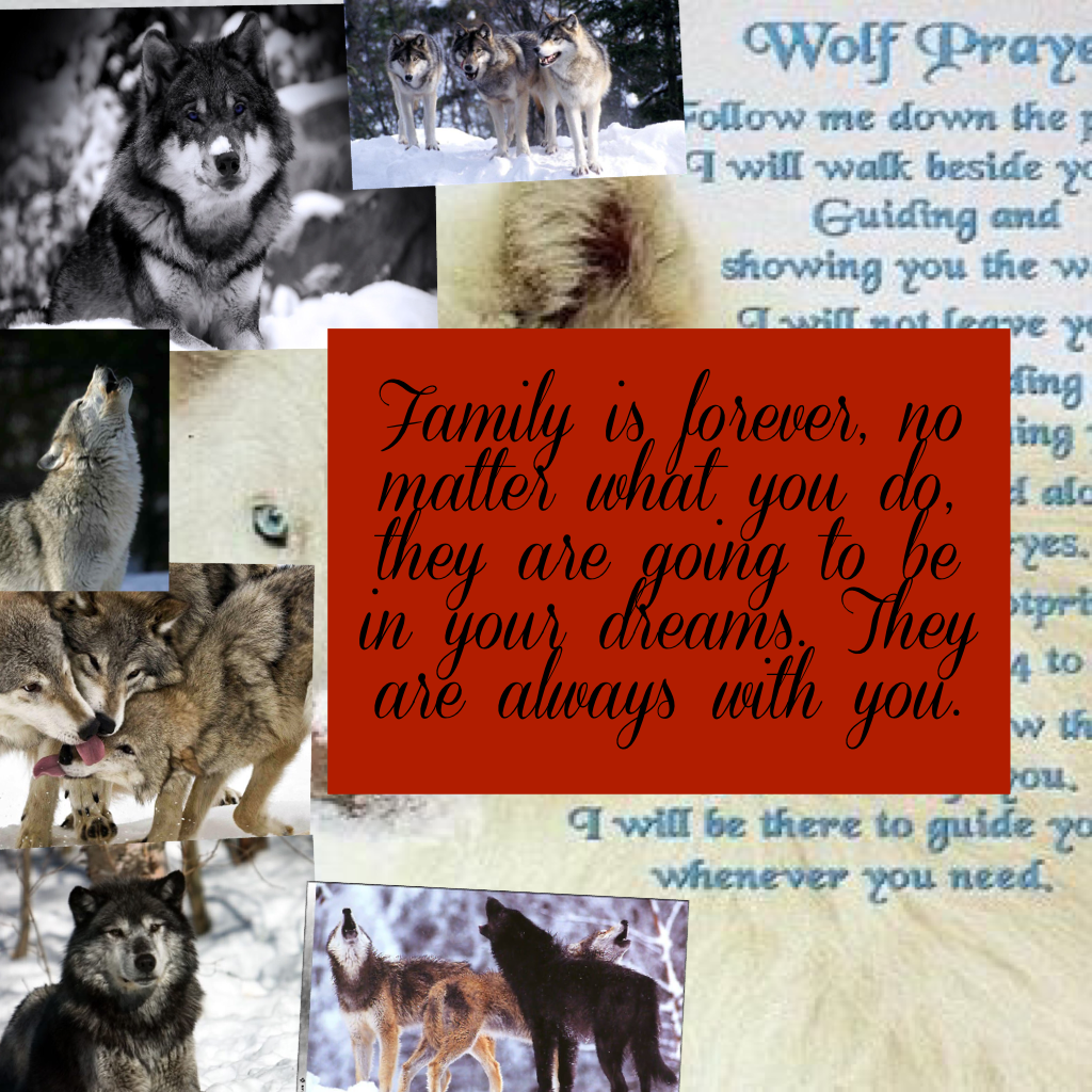 Family is forever, no matter what you do, they are going to be in your dreams. They are always with you.