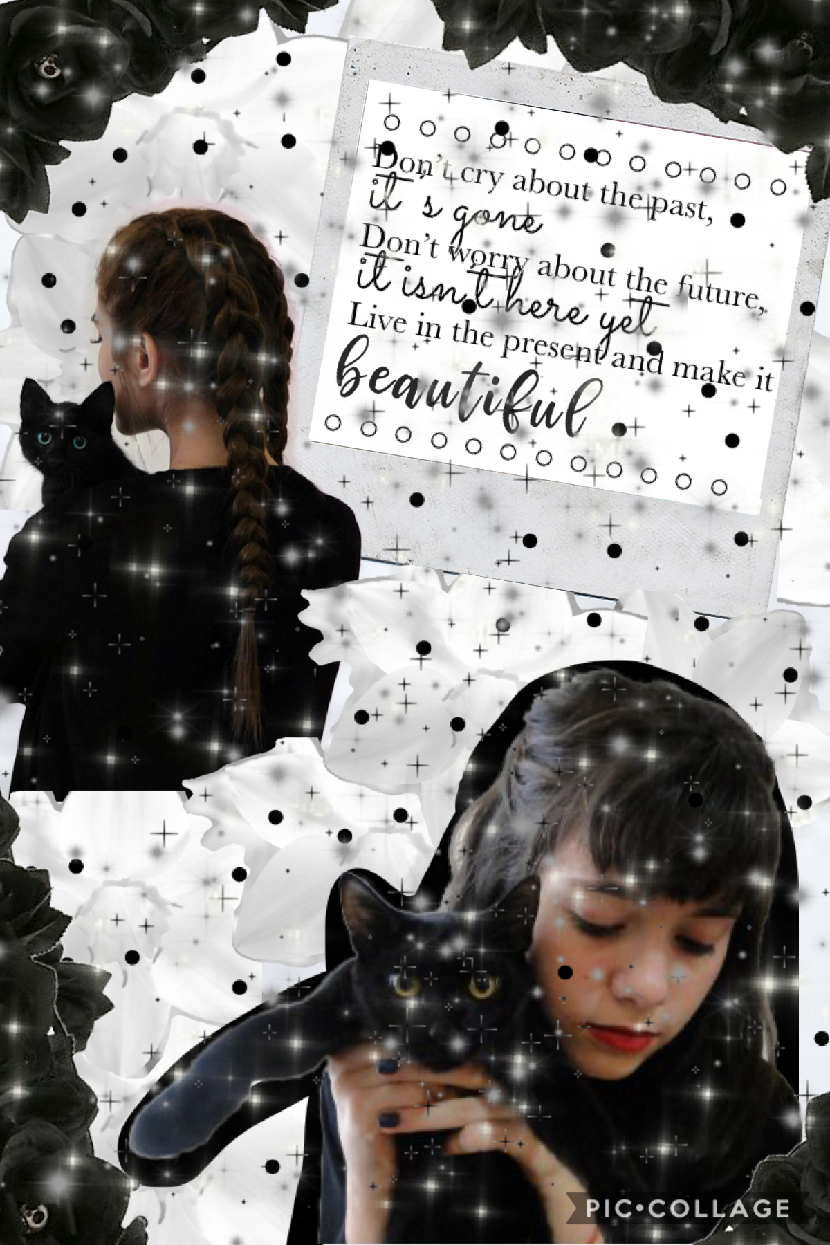 🖤-1/26/21-🖤

Oh wow an actual collage this looks lowkey terrible but ehh whatever

I’m having a new story type thing coming out soon; all credit goes to angel for the idea 😂 

How was y’all’s day