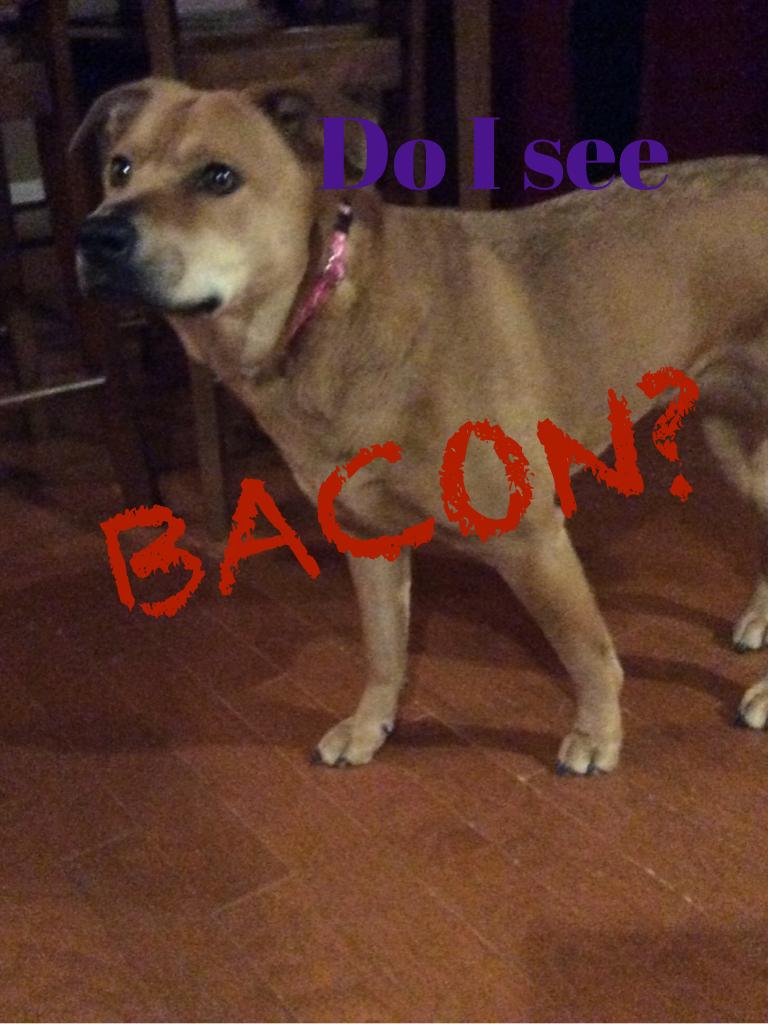 Couldn't find a bacon emoji 