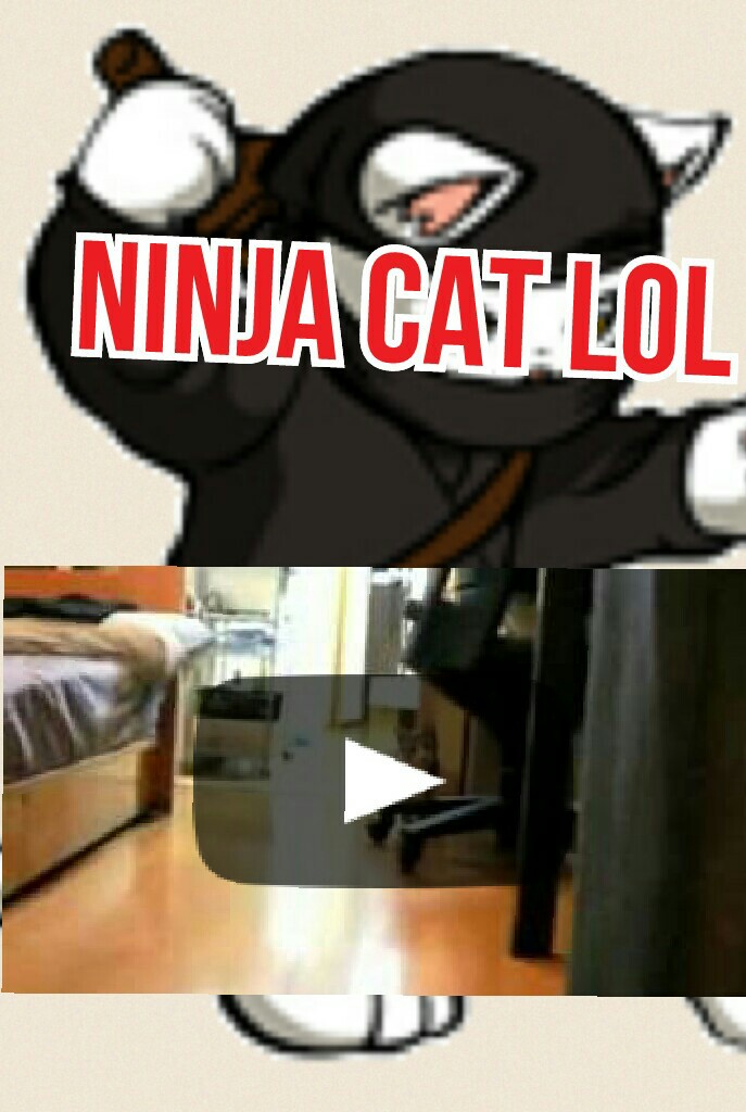 ninja cat lol