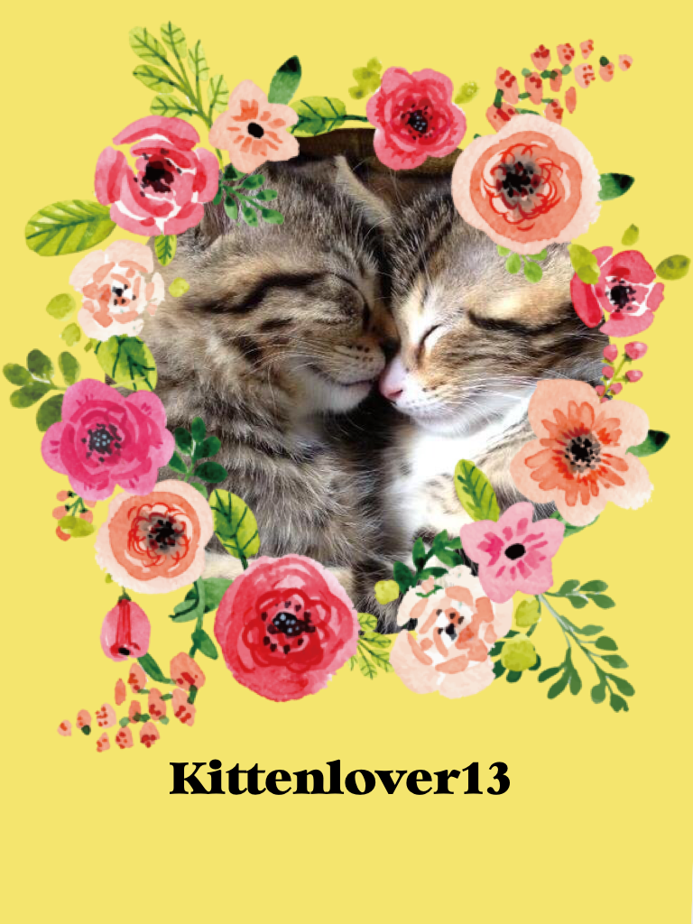 Kittenlover13