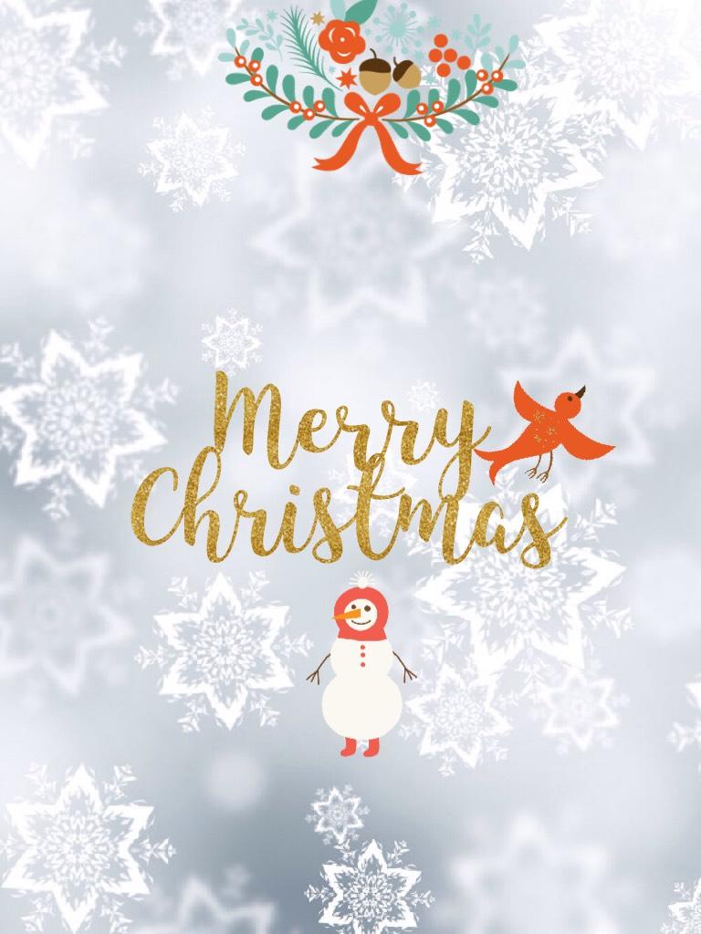 Merry Christmas everyone! Hope u all having a beautiful Christmas 🎄!