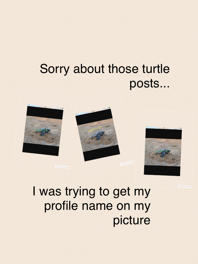 I was trying to get my profile name on my picture