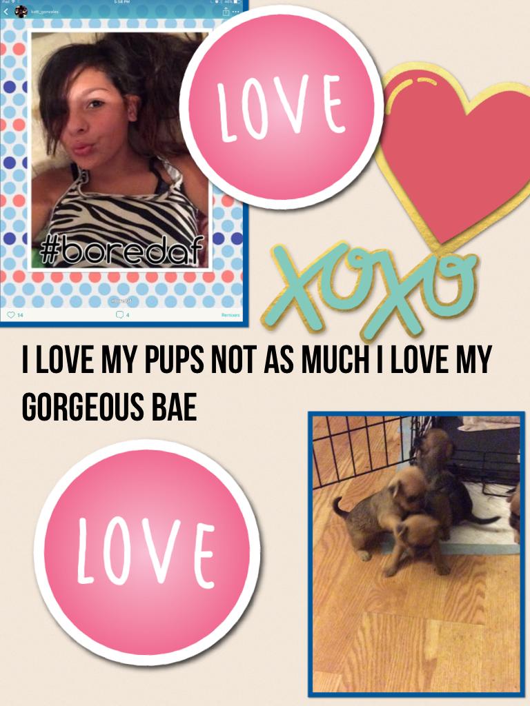 I love my pups not as much I love my gorgeous bae 