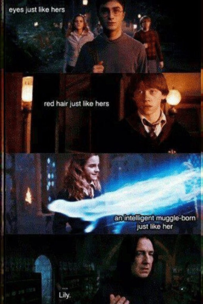Why Professor Snape must hate the Golden Trio