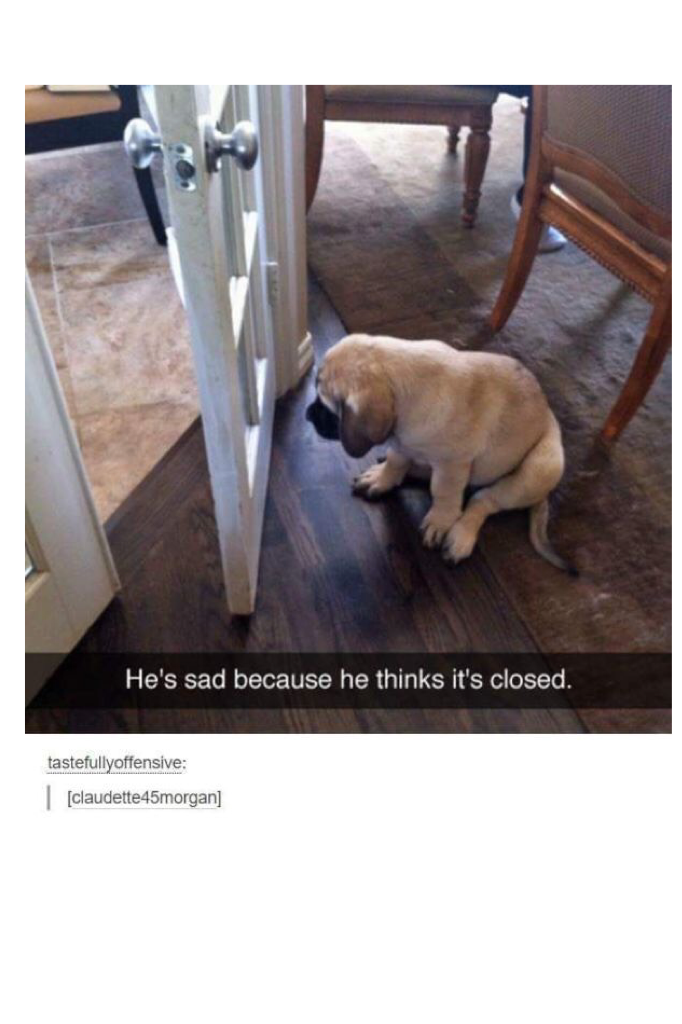 Poor puppy :(