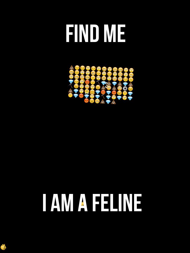 Find me 